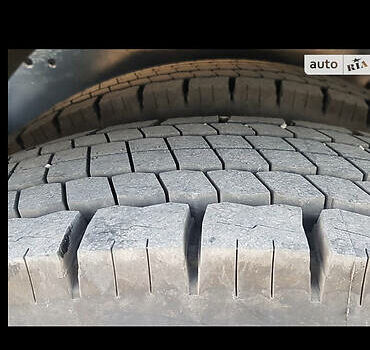 Белый Даф XF 105, объемом двигателя 12.9 л и пробегом 1 тыс. км за 25000 $, фото 30 на Automoto.ua