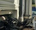 Білий Даф XF 105, об'ємом двигуна 12.9 л та пробігом 1 тис. км за 10600 $, фото 5 на Automoto.ua