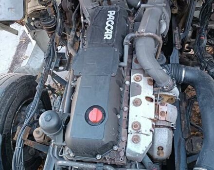 Білий Даф XF 105, об'ємом двигуна 12.9 л та пробігом 1 тис. км за 10000 $, фото 34 на Automoto.ua