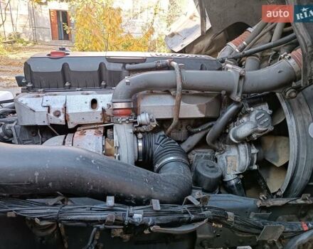 Білий Даф XF 105, об'ємом двигуна 12.9 л та пробігом 1 тис. км за 10000 $, фото 33 на Automoto.ua