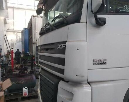 Белый Даф XF 105, объемом двигателя 13 л и пробегом 1 тыс. км за 14200 $, фото 2 на Automoto.ua