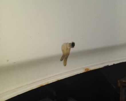 Белый Даф XF 105, объемом двигателя 12.9 л и пробегом 1 тыс. км за 20000 $, фото 8 на Automoto.ua