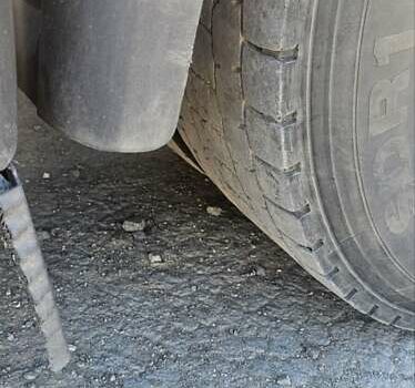 Белый Даф XF 105, объемом двигателя 12.9 л и пробегом 1 тыс. км за 19500 $, фото 16 на Automoto.ua