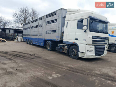 Даф XF 105 2013 в Лубнах на Automoto.ua Белый Даф XF 105, объемом двигателя 0 л и пробегом 530 тыс. км за 23500 $, фото 1 на Automoto.ua