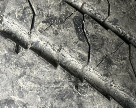 Коричневый Даф XF 105, объемом двигателя 12.9 л и пробегом 1 тыс. км за 11000 $, фото 3 на Automoto.ua