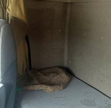 Красный Даф XF 105, объемом двигателя 12.9 л и пробегом 1 тыс. км за 17200 $, фото 3 на Automoto.ua