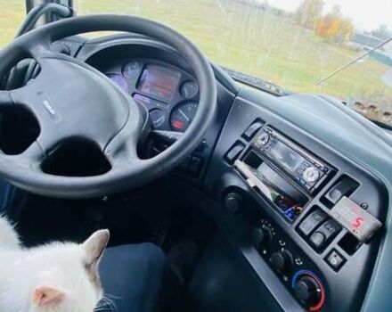 Білий Даф XF 95, об'ємом двигуна 12.58 л та пробігом 1000 тис. км за 9600 $, фото 3 на Automoto.ua