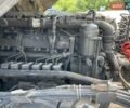 Белый Даф XF 95, объемом двигателя 12.58 л и пробегом 1 тыс. км за 9000 $, фото 11 на Automoto.ua