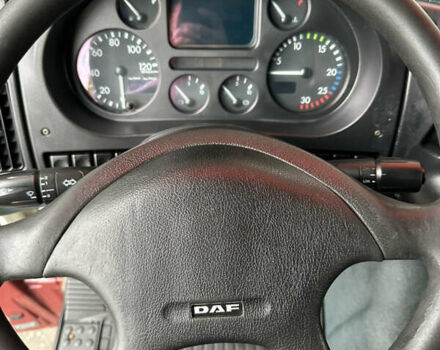 Коричневый Даф XF 95, объемом двигателя 12.58 л и пробегом 1 тыс. км за 9100 $, фото 25 на Automoto.ua