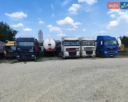Синий Даф XF 95, объемом двигателя 13 л и пробегом 8 тыс. км за 8989 $, фото 3 на Automoto.ua