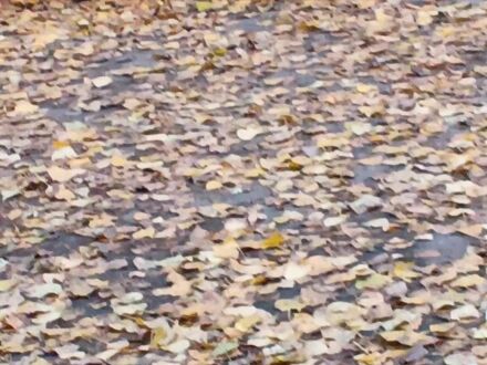 Дельта 110, объемом двигателя 0.11 л и пробегом 0 тыс. км за 310 $, фото 1 на Automoto.ua