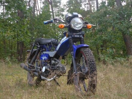 Синий Дельта 110, объемом двигателя 0 л и пробегом 2 тыс. км за 370 $, фото 1 на Automoto.ua