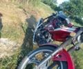 Дельта 6510, объемом двигателя 0.11 л и пробегом 0 тыс. км за 421 $, фото 2 на Automoto.ua