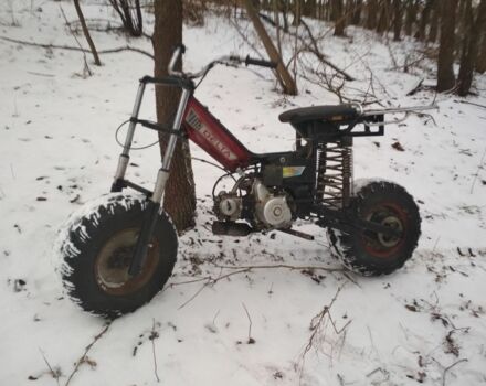 Дельта Другая, объемом двигателя 0.11 л и пробегом 0 тыс. км за 239 $, фото 2 на Automoto.ua