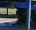 Синий Деннисон Ror, объемом двигателя 0 л и пробегом 100 тыс. км за 5800 $, фото 2 на Automoto.ua