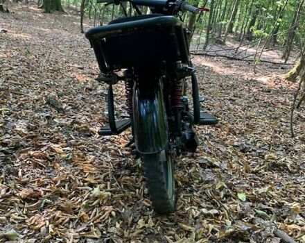 Черный Динго T150, объемом двигателя 0.25 л и пробегом 2 тыс. км за 25000 $, фото 4 на Automoto.ua