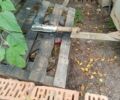 Днепр 11, объемом двигателя 0.65 л и пробегом 0 тыс. км за 320 $, фото 2 на Automoto.ua