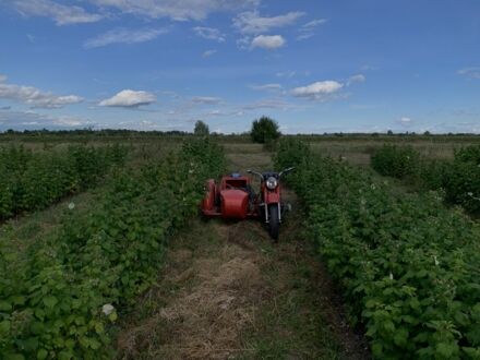 Днепр 11, объемом двигателя 0.65 л и пробегом 0 тыс. км за 356 $, фото 1 на Automoto.ua