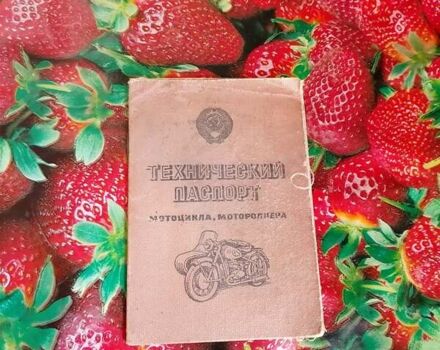 Днепр (КМЗ) Днепр-11, объемом двигателя 0 л и пробегом 100 тыс. км за 217 $, фото 4 на Automoto.ua