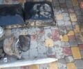 Дніпро (КМЗ) МТ-11, об'ємом двигуна 0 л та пробігом 24 тис. км за 289 $, фото 3 на Automoto.ua