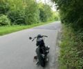 Дніпро Інша, об'ємом двигуна 0.65 л та пробігом 0 тис. км за 484 $, фото 6 на Automoto.ua