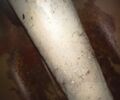 Днепр Другая, объемом двигателя 0.65 л и пробегом 0 тыс. км за 338 $, фото 8 на Automoto.ua