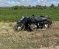 Днепр Другая, объемом двигателя 0.75 л и пробегом 0 тыс. км за 364 $, фото 2 на Automoto.ua