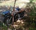 Днепр Другая, объемом двигателя 0 л и пробегом 0 тыс. км за 315 $, фото 2 на Automoto.ua