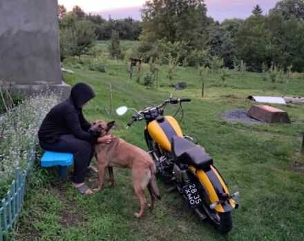 Днепр Другая, объемом двигателя 0.65 л и пробегом 0 тыс. км за 412 $, фото 4 на Automoto.ua