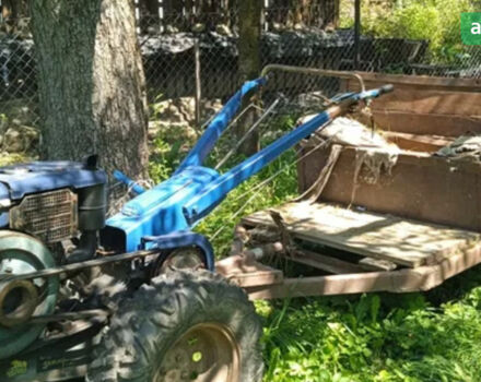 Добриня МТ, об'ємом двигуна 10 л та пробігом 0 тис. км за 800 $, фото 1 на Automoto.ua