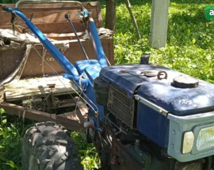 Добриня МТ, об'ємом двигуна 10 л та пробігом 0 тис. км за 800 $, фото 2 на Automoto.ua