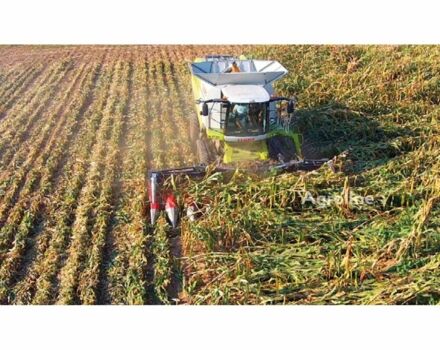 Доминони Другая, объемом двигателя 0 л и пробегом 0 тыс. км за 96529 $, фото 1 на Automoto.ua