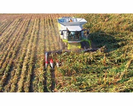 Доминони Другая, объемом двигателя 0 л и пробегом 0 тыс. км за 49825 $, фото 2 на Automoto.ua