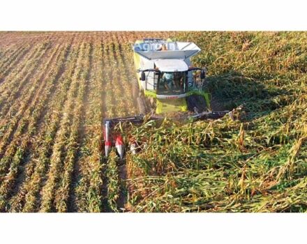 Доминони Другая, объемом двигателя 0 л и пробегом 0 тыс. км за 95750 $, фото 1 на Automoto.ua