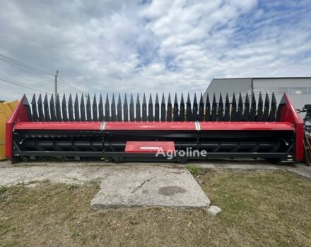 Жовтий Доміноні Другая, об'ємом двигуна 6 л та пробігом 0 тис. км за 36999 $, фото 11 на Automoto.ua