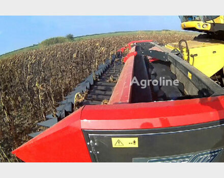 Желтый Доминони Другая, объемом двигателя 6 л и пробегом 0 тыс. км за 41230 $, фото 9 на Automoto.ua