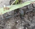 Донг Фенг Другая, объемом двигателя 1.5 л и пробегом 1000 тыс. км за 52000 $, фото 4 на Automoto.ua