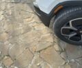 Білий Інша Інша, об'ємом двигуна 0 л та пробігом 20 тис. км за 55000 $, фото 22 на Automoto.ua