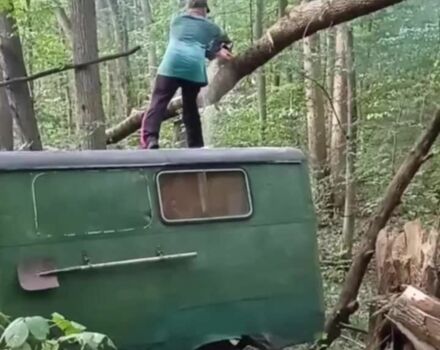 Другая Другая, объемом двигателя 0 л и пробегом 0 тыс. км за 716 $, фото 8 на Automoto.ua