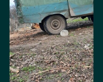 Другая Другая, объемом двигателя 0 л и пробегом 0 тыс. км за 716 $, фото 2 на Automoto.ua