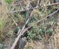 Інша Інша, об'ємом двигуна 0 л та пробігом 0 тис. км за 16000 $, фото 4 на Automoto.ua