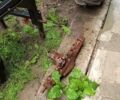 Другая Другая, объемом двигателя 0 л и пробегом 0 тыс. км за 5200 $, фото 4 на Automoto.ua
