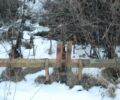 Другая Другая, объемом двигателя 0 л и пробегом 0 тыс. км за 12000 $, фото 1 на Automoto.ua