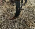 Другая Другая, объемом двигателя 0 л и пробегом 0 тыс. км за 961 $, фото 4 на Automoto.ua