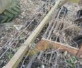 Другая Другая, объемом двигателя 0 л и пробегом 0 тыс. км за 70000 $, фото 4 на Automoto.ua