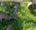 Другая Другая, объемом двигателя 0 л и пробегом 0 тыс. км за 1730 $, фото 6 на Automoto.ua