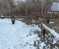 Другая Другая, объемом двигателя 0 л и пробегом 0 тыс. км за 6500 $, фото 1 на Automoto.ua
