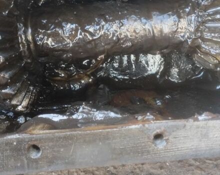 Інша Інша, об'ємом двигуна 0 л та пробігом 0 тис. км за 99 $, фото 1 на Automoto.ua