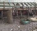 Другая Другая, объемом двигателя 0 л и пробегом 0 тыс. км за 7000 $, фото 4 на Automoto.ua