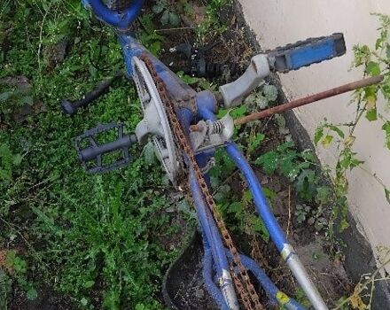 Другая Другая, объемом двигателя 0 л и пробегом 0 тыс. км за 36 $, фото 3 на Automoto.ua